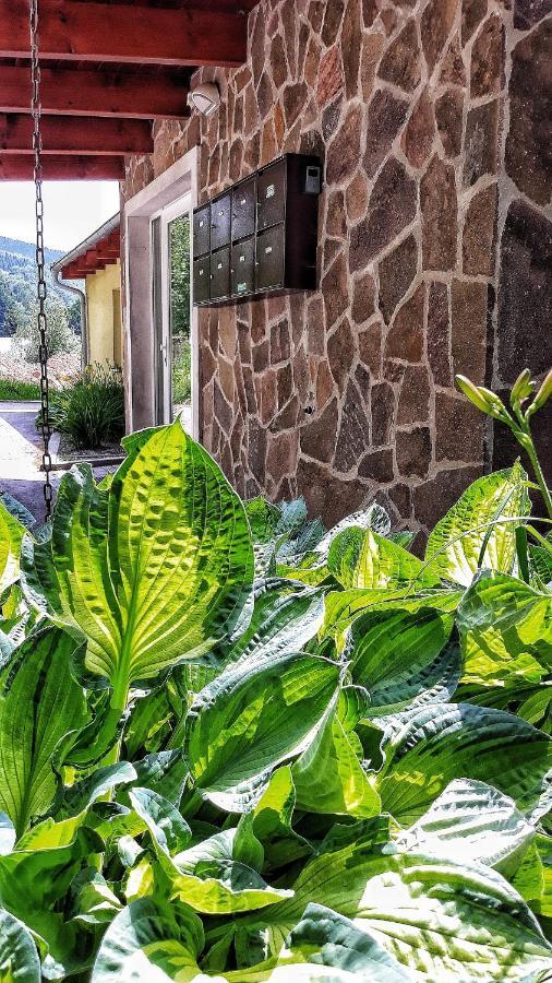 Appartamento M+E Horní Maršov Esterno foto