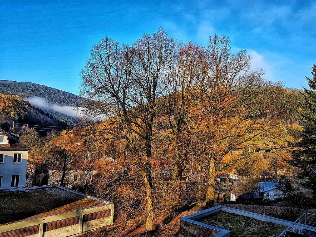 Appartamento M+E Horní Maršov Esterno foto
